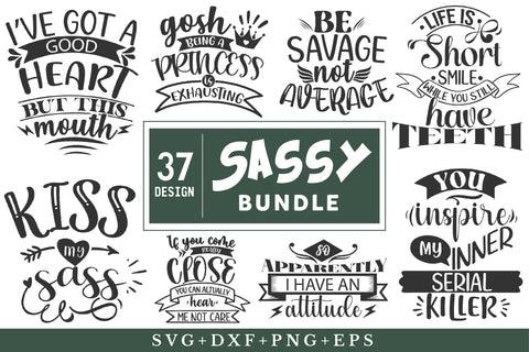 Sassy Svg Bundle SVG Rupkotha 