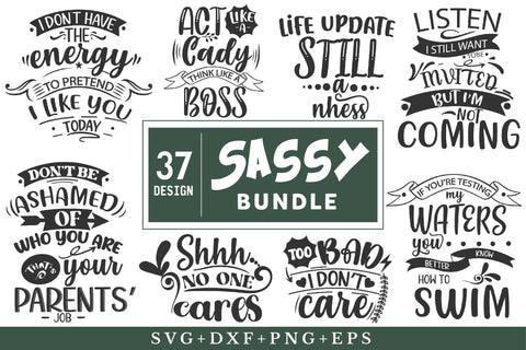 Sassy Svg Bundle SVG Rupkotha 