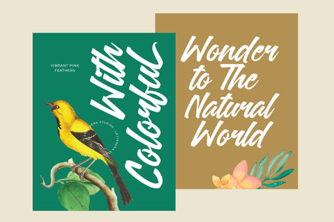 Sattyne Bregast - Bold Brush Font Type Font Letterena Studios 