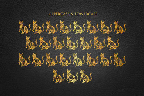 Scared Cat Mandala Monogram Font Dm Letter Studio 