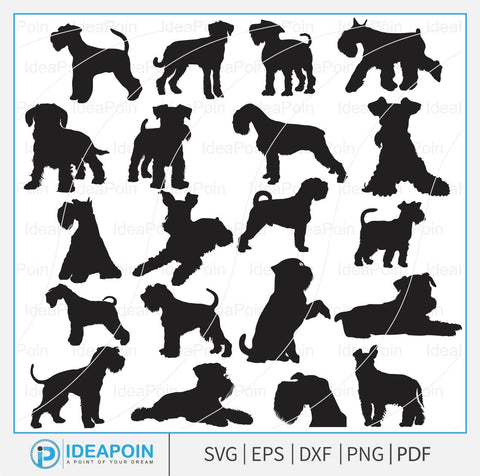 Schnauzer SVG, Miniature Schnauzer SVG, Min Schnauzer Silhouette SVG, Dog Breed Silhouette svg, Schnauzer head Dog, Miniature Schnauzer Sil SVG Dinvect 