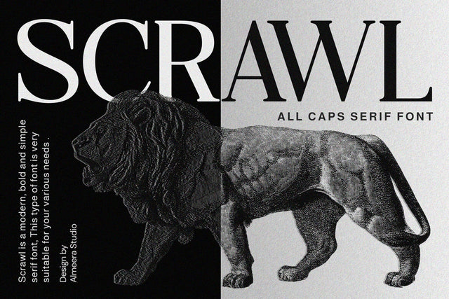 Scrawl - Serif Font Font studioalmeera 