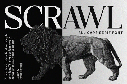 Scrawl - Serif Font Font studioalmeera 
