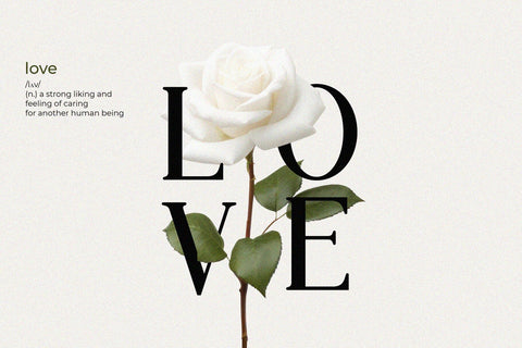 Scrawl - Serif Font Font studioalmeera 