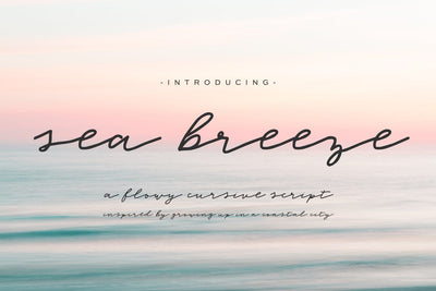 Sea Breeze Signature Script Font Font Beck McCormick 