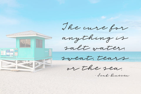 Sea Breeze Signature Script Font Font Beck McCormick 