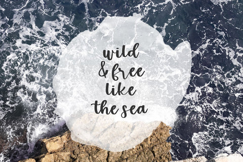 Sea Mist Script Font Beck McCormick 
