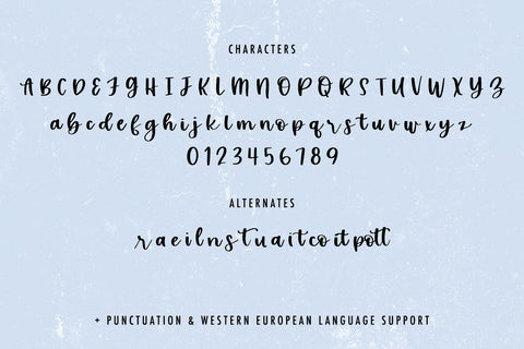 Sea Mist Script Font Beck McCormick 