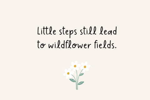 Sea Otter Font Cotton White Studio 