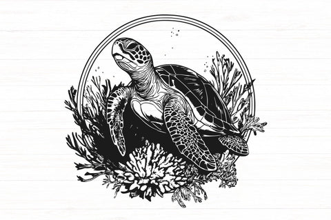 Sea Turtle Frame Svg Dxf Png Jpg SVG CraftySVGStudio 