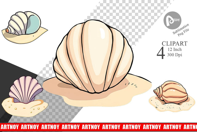 Seashell Clipart Sublimation artnoy 
