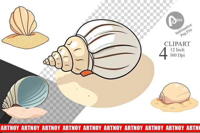 Seashell Clipart Sublimation artnoy 