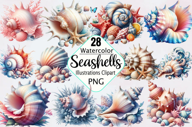Seashells Clipart, Seashell PNG Clipart Bundle Sublimation SVGArt 