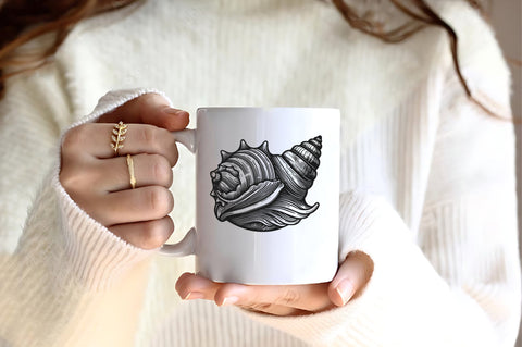 Seashells SVG Bundle SVG Rupkotha 