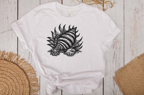 Seashells SVG Bundle SVG Rupkotha 