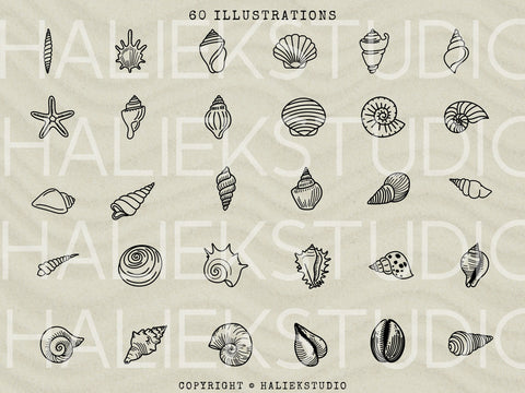 Seashells SVG Design Set SVG HalieKStudio 