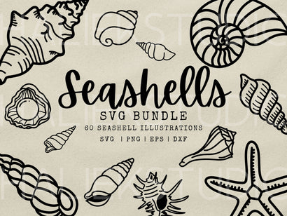 Seashells SVG Design Set SVG HalieKStudio 