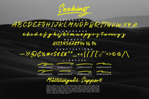 Seeking / Brush Font Font Javapep 