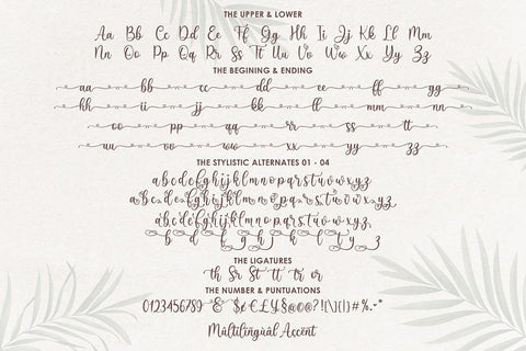 Sefilya | Beauty Script Font studioalmeera 