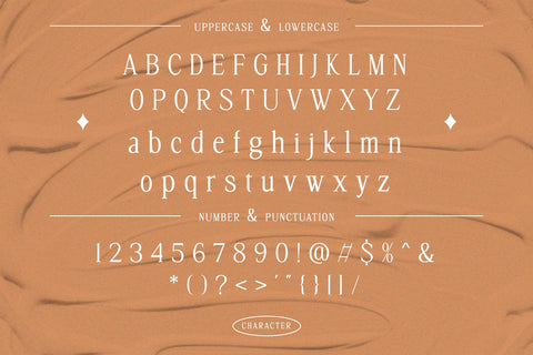 Seigneur - Elegant Serif Font Font studioalmeera 