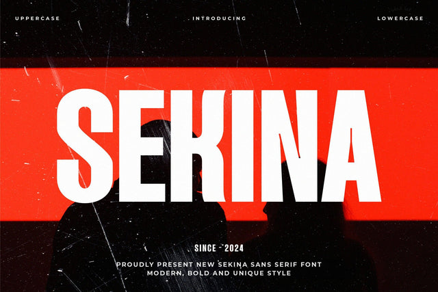 SEKINA - Modern Condensed Sans Serif Font studioalmeera 