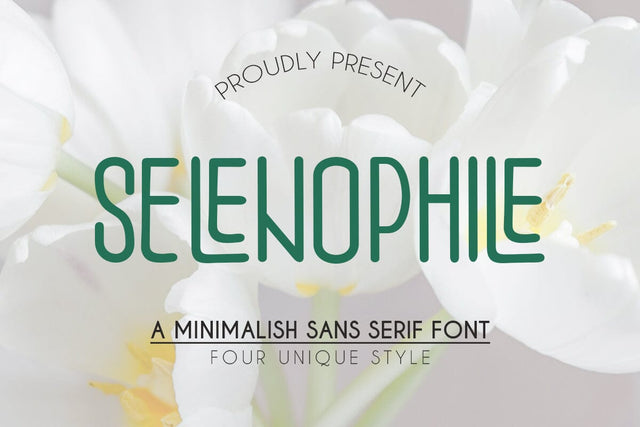 Selenophile Font Muhajir 