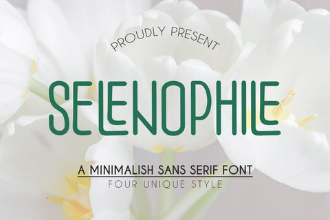 Selenophile Font Muhajir 