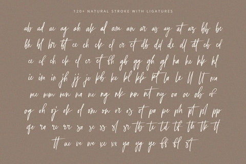 Selestia Signature - Handwritten Font Font Alpaprana Studio 
