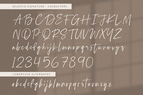Selestia Signature - Handwritten Font Font Alpaprana Studio 