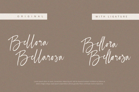 Selestia Signature - Handwritten Font Font Alpaprana Studio 