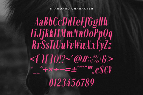 Sellomyth - Italic serif font Font studioalmeera 