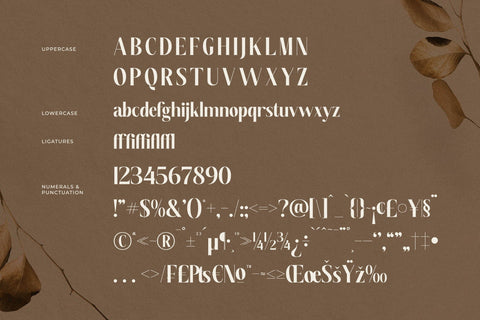 Semiflora - New Modern Serif Font Font Storytype Studio 