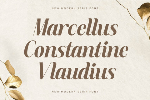 Semiflora - New Modern Serif Font Font Storytype Studio 