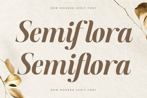 Semiflora - New Modern Serif Font Font Storytype Studio 