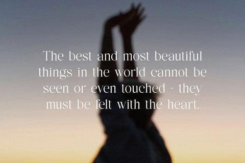 Sengone - Elegant Serif Font Font studioalmeera 