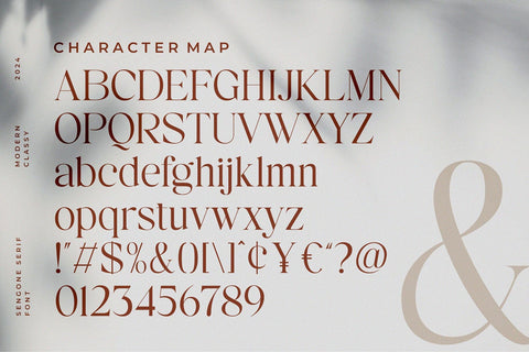 Sengone - Elegant Serif Font Font studioalmeera 