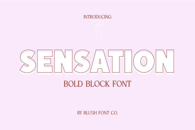 Sensation Bold Chunky Display Sans Font Font Blush Font Co. 
