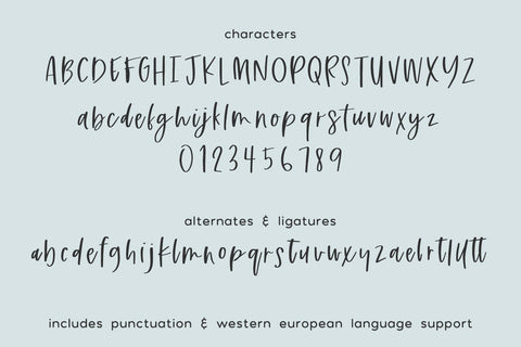 Sequester Script Font Beck McCormick 