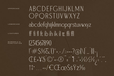 Serafilms - Modern Stylish Serif Font Storytype Studio 