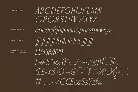 Serafilms - Modern Stylish Serif Font Storytype Studio 