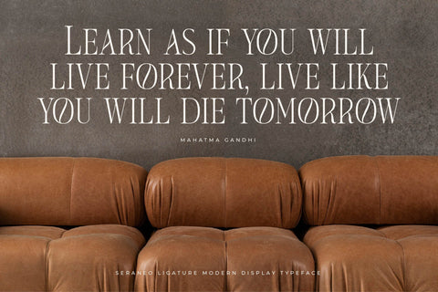 Seraneo - Modern Display Typeface Font Letterena Studios 