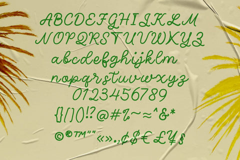 Seraphic - Script Font Font studioalmeera 