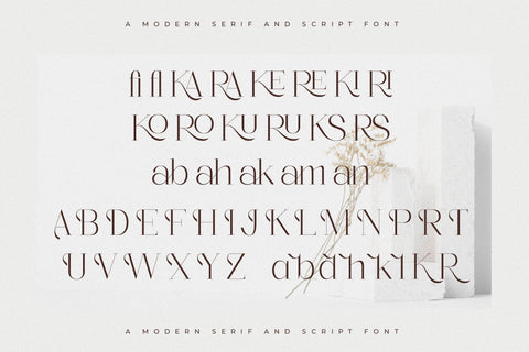 Seraphina Font Duo Font Storytype Studio 