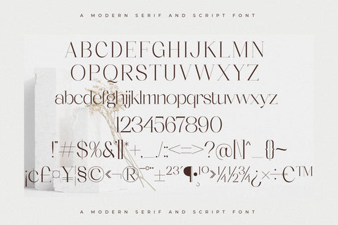 Seraphina Font Duo Font Storytype Studio 