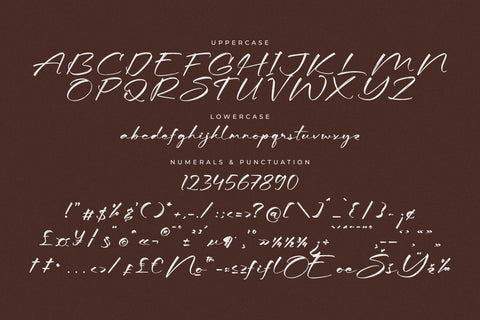 Seraphina Font Duo Font Storytype Studio 