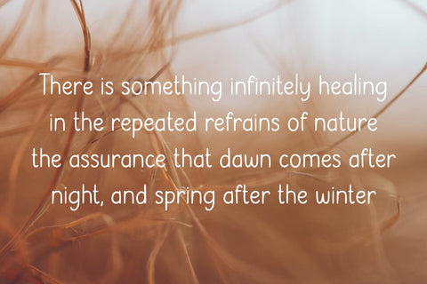 Serathus Font Abo Daniel Studio 