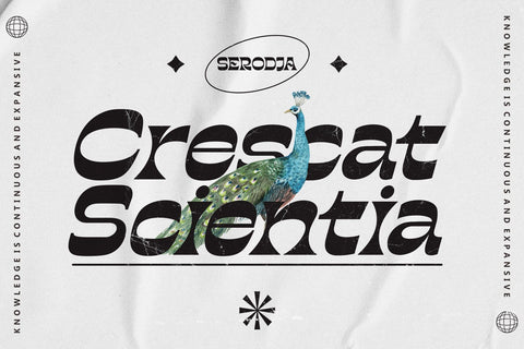 Serodja Font Four Lines Std. 