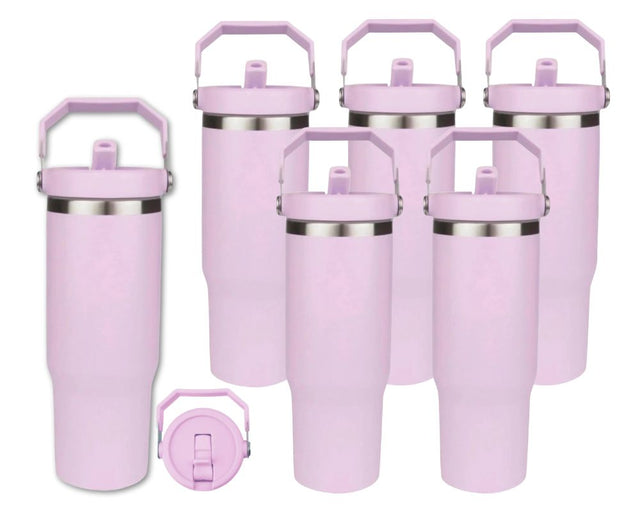 Set of 6 22 oz Tumblers | Flip Straw Tumblers with Lid and Straw - Lavendar Physical DIY Craft Warehouse 