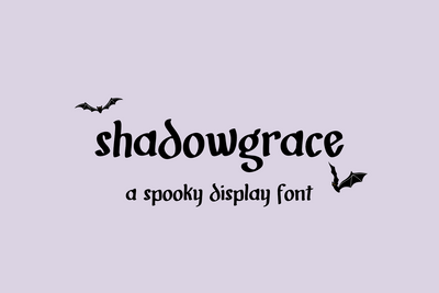 Shadowgrace Display Font Font Beck McCormick 