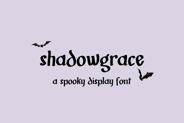 Shadowgrace Display Font Font Beck McCormick 